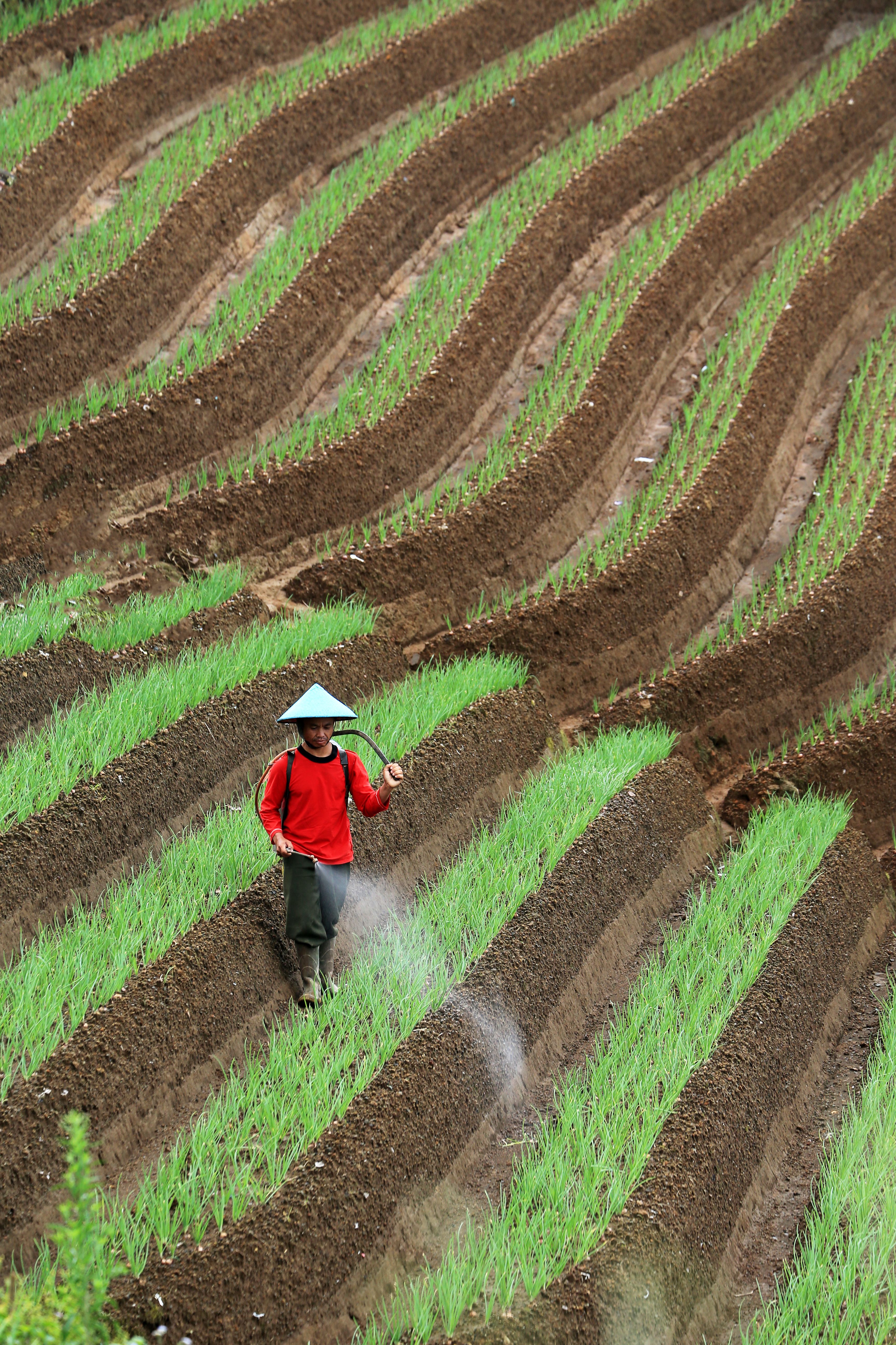 Crop Performance & Sustainability