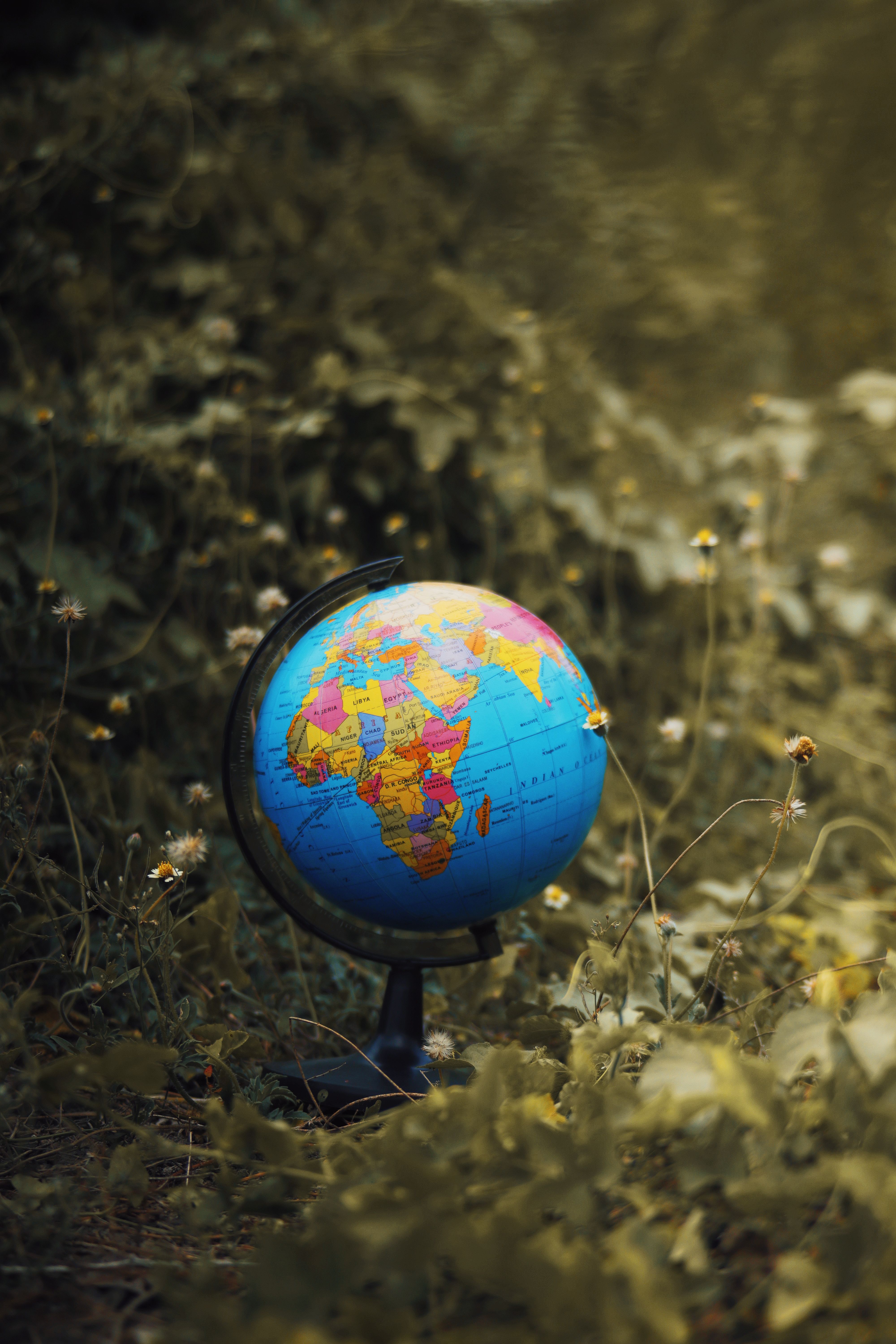 A Dependable Local Partner