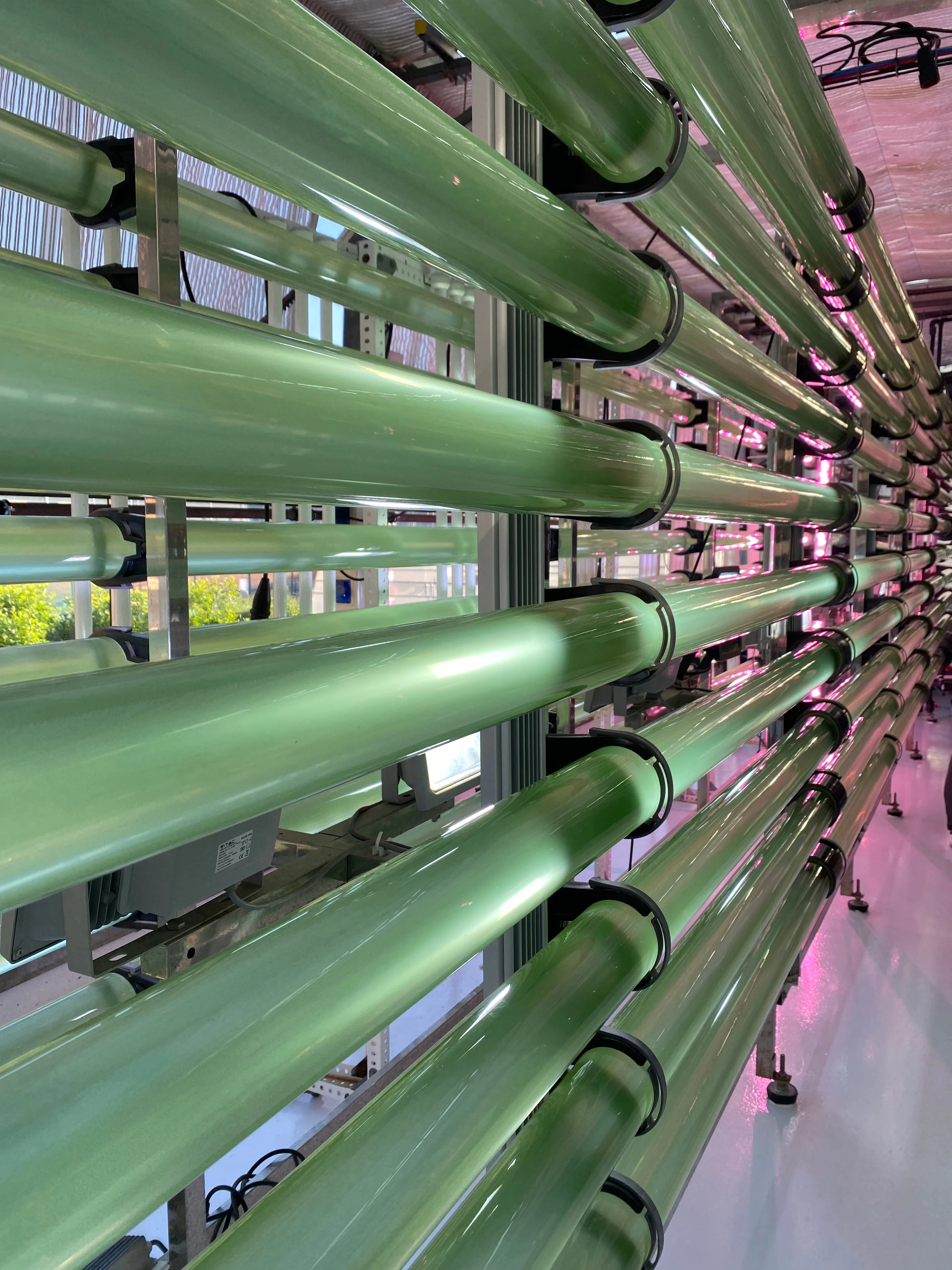 ILA Biomarine Formulation Process
