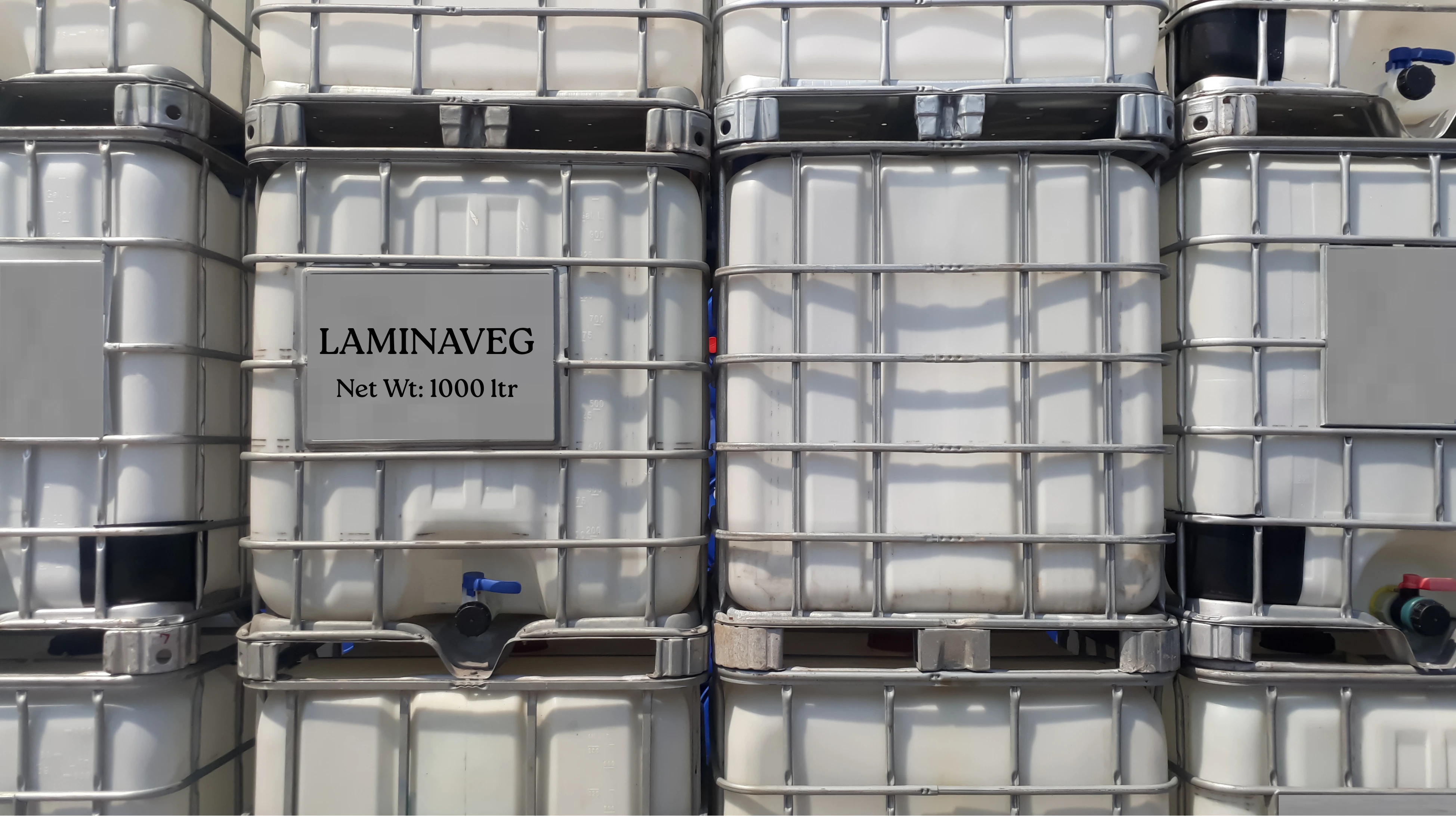 Laminaveg
