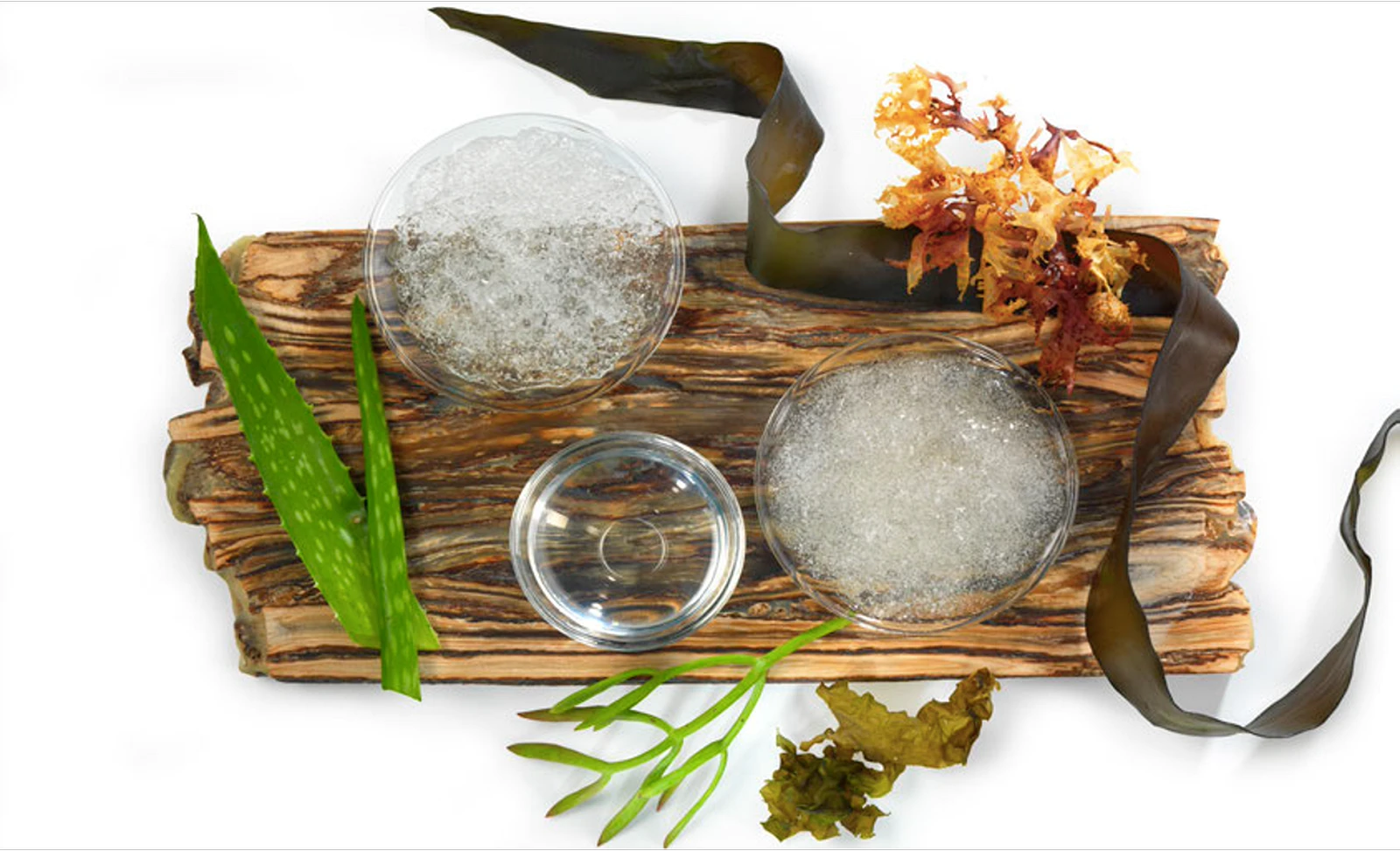 Organic Crushed Ice Gel